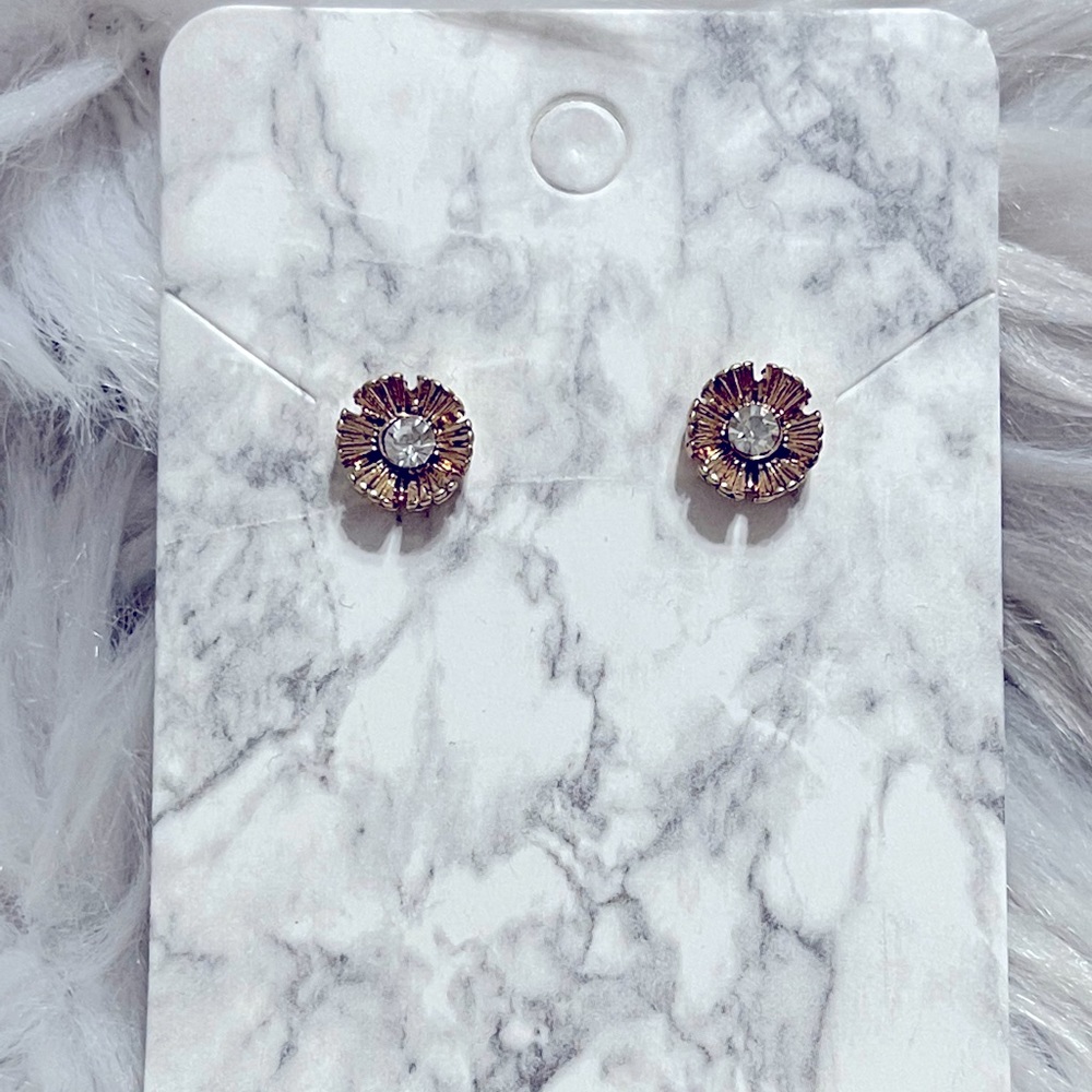 Bp Earrings/Studs